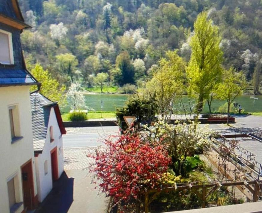 Ferienhaus Moselblick Am Kapellchen 埃迪格尔-埃莱尔 外观 照片